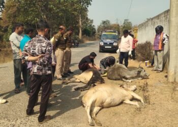 अनियंत्रित बोलेरो का कहर: राहगीर समेत चार मवेशी चपेट में, युवक गंभीर हालत में रेफर ।।