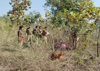 दुद्धी कोतवाली क्षेत्र में जंगल के बीच अज्ञात महिला का शव मिलने से सनसनी।