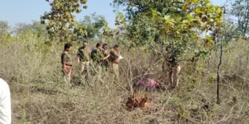दुद्धी कोतवाली क्षेत्र में जंगल के बीच अज्ञात महिला का शव मिलने से सनसनी।