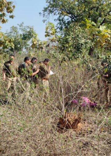 दुद्धी कोतवाली क्षेत्र में जंगल के बीच अज्ञात महिला का शव मिलने से सनसनी।
