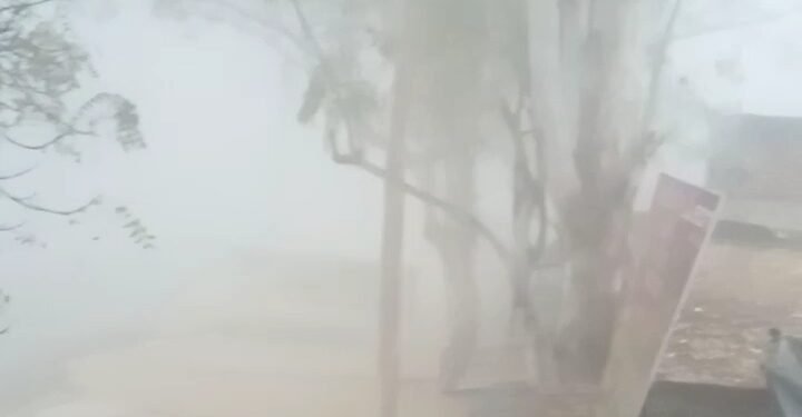 मार्च माह में प्रातः काल वायु मंडल में छाया घनघोर कोहरा बना कौतूहल का विषय।