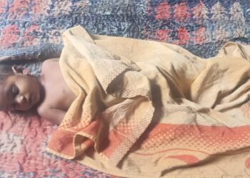 बाउली में डूबने से तीन वर्षीय मासूम की मौत, गांव में मातम ।।