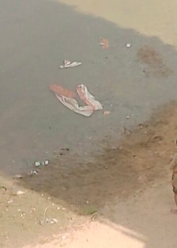 युवती ने सोन नदी पुल से लगाई छलांग, पुलिस ने त्वरित रेस्क्यू से बचाया।