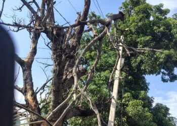 चक्रवाती तूफान का कहर 24 घण्टा से बिजली सप्लाई बंद कई जगह पोल तार जमीनदोज।