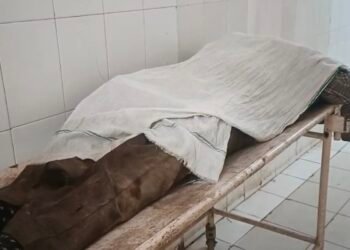 मांगलिक कार्यक्रम के दौरान अलग अलग गाँव मे दो नव युवकों की मौत पसरा मातम।