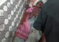 खड़ी ट्रक में बाइक ने मारी टक्कर , बाइक सवार घायल।