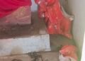 मंदिर में तोड़फोड़ से तनाव, हनुमानजी की मूर्ति क्षतिग्रस्त कर नाली में फेंके जाने का आरोप।
